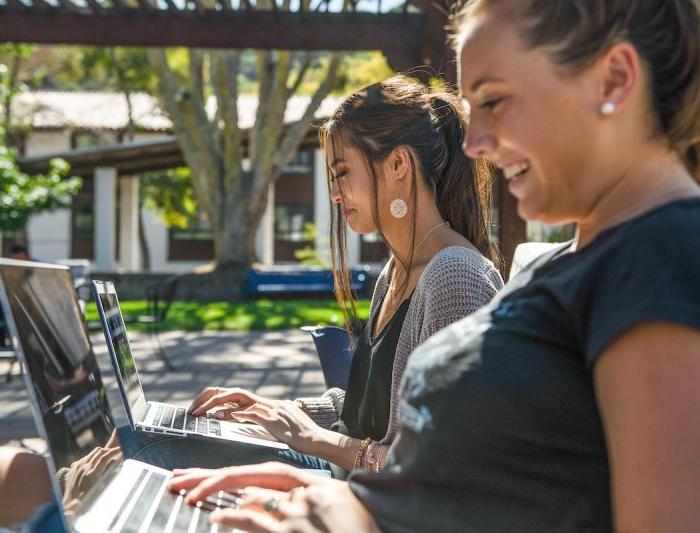 Students looking at their laptops